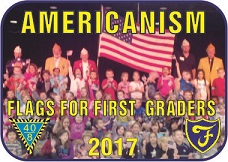 americanismpins1-25incheswide2017small